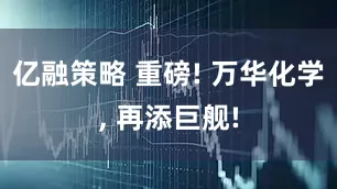 亿融策略 重磅! 万华化学, 再添巨舰!